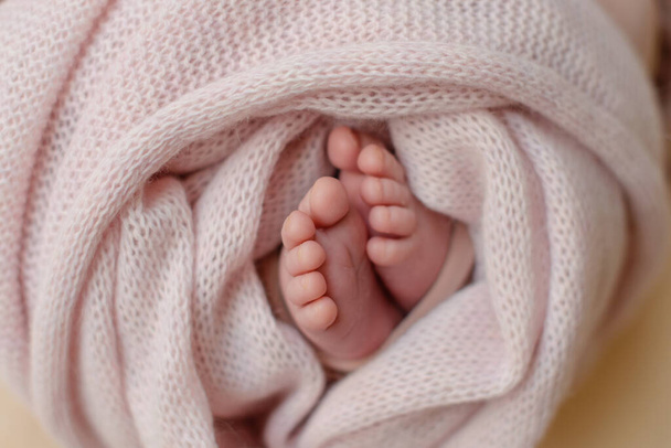 Petites belles jambes d'un nouveau-né dans les premiers jours de la vie. Pieds de bébé d'un nouveau-né - Photo, image