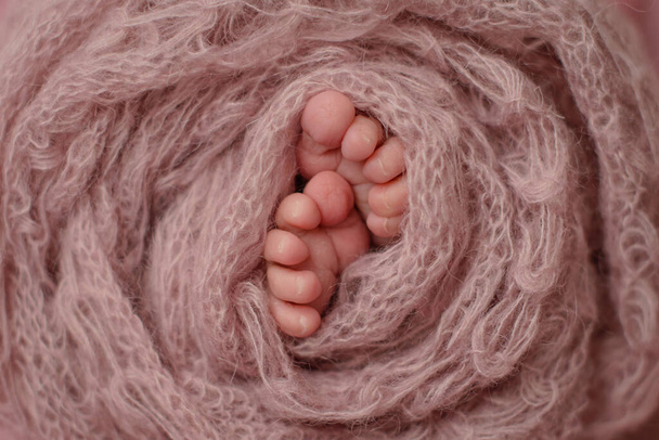 Pienet kauniit jalat vastasyntyneen vauvan ensimmäisinä päivinä. Vastasyntyneen vauvan jalat - Valokuva, kuva