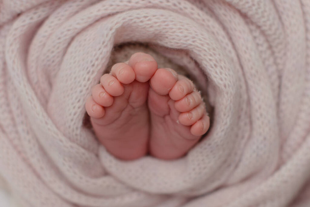 Petites belles jambes d'un nouveau-né dans les premiers jours de la vie. Pieds de bébé d'un nouveau-né - Photo, image