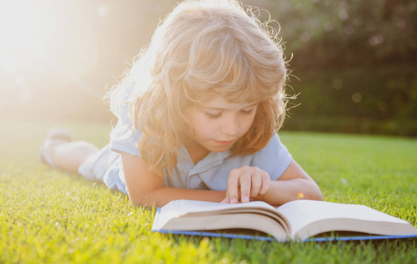 Beautiful child boy book on grass background. Kids reading book in park. - 写真・画像