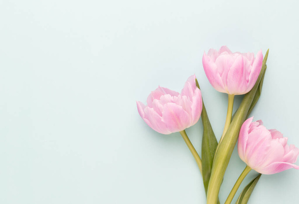 Pink tulip flowers on pastel background. - Фото, изображение