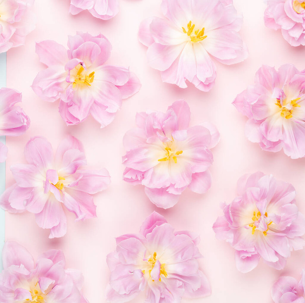 Pink tulips blossom pattern on pastel background. - Photo, image