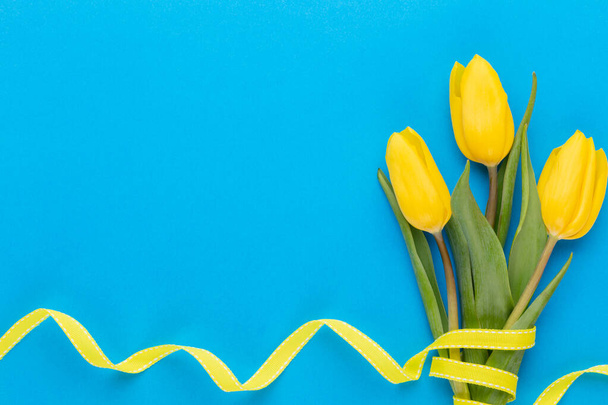 Yellow tulips on the blue background. - Zdjęcie, obraz