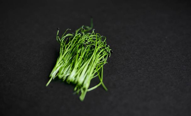 Frische grüne Pflanzenzwiebel wächst auf schwarzem Untergrund. Super Essen. Raum für Text. - Foto, Bild