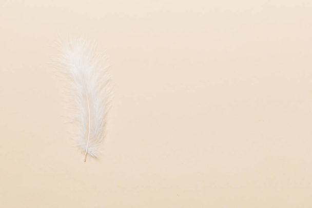 background of brightly colored dyed bird feathers on Colored background, top view. Copy space. - Photo, Image