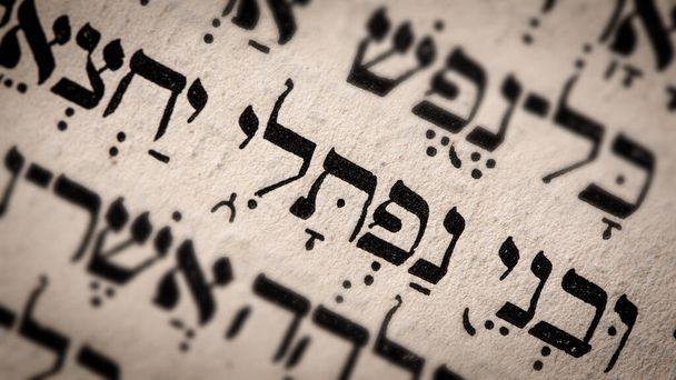 Hebrew word in Torah page. English translation is name Naphtali, the founder of the Israelite Tribe of Naphtali. The last of the two sons of Jacob and Bilhah. Selective focus. Closeup - Photo, Image