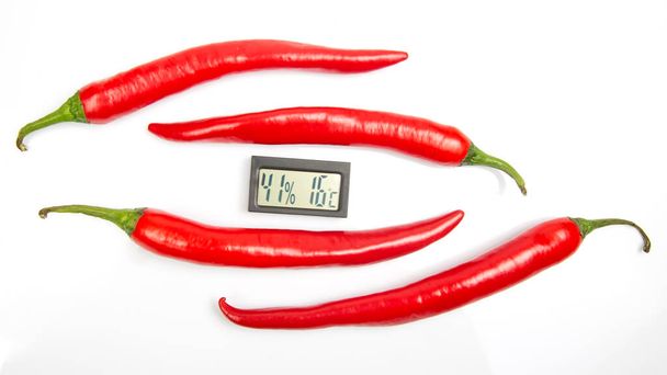 唐辛子を背景に気温や湿度を測定するためのデジタル温度計です。唐辛子の比喩 - 写真・画像