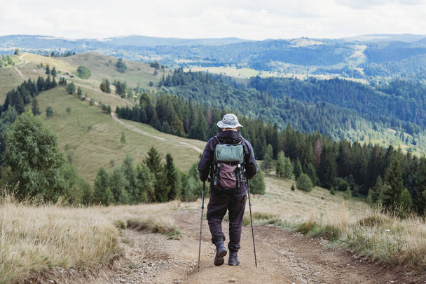 Back view of hiker young man with backpack and trekking poles walking in the mountains - Фото, изображение