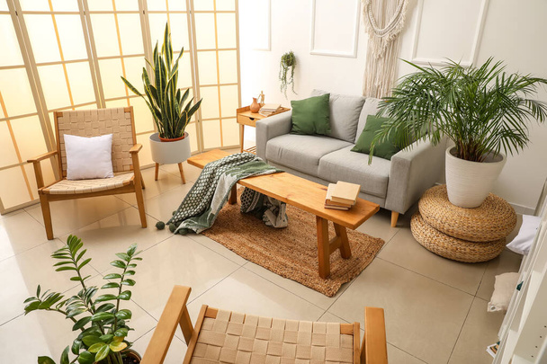 Belső tér világos nappali kanapéval, székekkel és szobanövényekkel - Fotó, kép