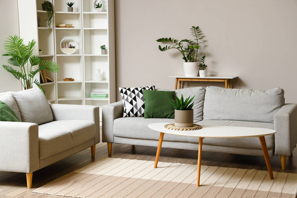 Εσωτερικό φωτεινό σαλόνι με τραπεζάκι σαλονιού, καναπέδες και φυτά εσωτερικού χώρου - Φωτογραφία, εικόνα