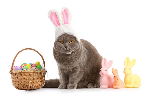 Lindo gato Fold escocés en orejas de conejo con huevos de Pascua y conejos sobre fondo blanco - Foto, imagen