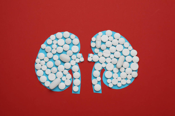 Paper cutout of kidneys with pills on red background, top view - Foto, Imagem