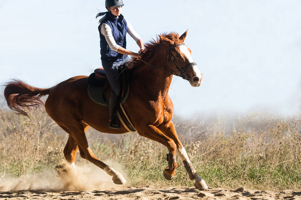 Молодая красивая девушка верхом на лошади - Фото, изображение