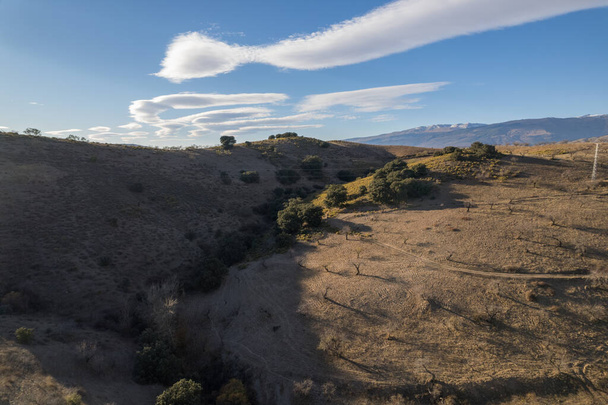 горный пейзаж на юге Альмерии в Испании, есть деревья и кусты, небо имеет облако - Фото, изображение