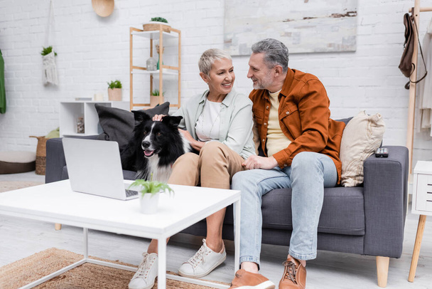 Positive couple talking near border collie and laptop at home  - Photo, Image