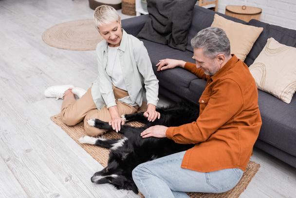 Positive couple petting border collie in living room  - 写真・画像