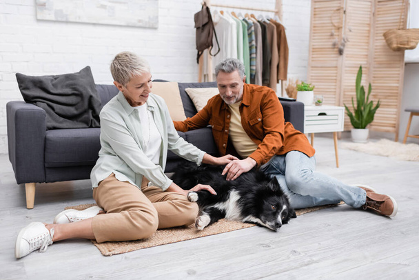 Happy woman petting border collie near husband on floor at home  - Photo, Image