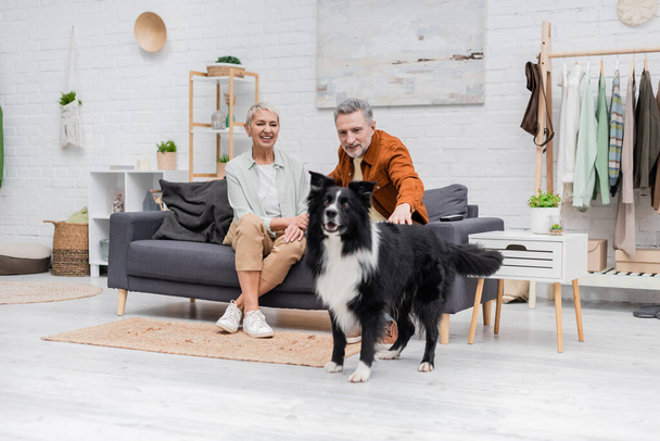 Cheerful woman looking at husband petting border collie in living room  - Photo, Image