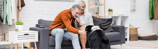 Positive man petting border collie near senior wife on couch at home, banner  - Foto, afbeelding