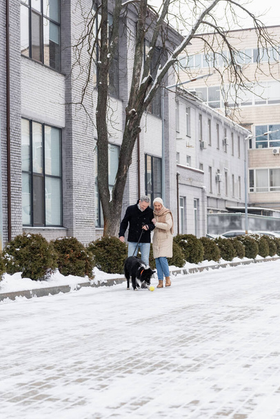 Positive family playing with border collie on urban street in winter  - Photo, Image