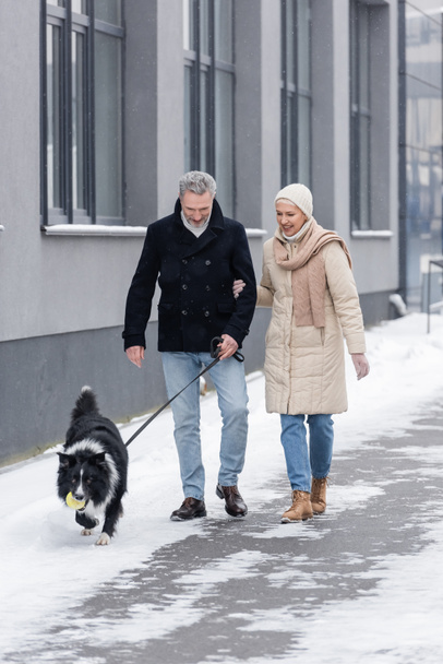 Happy woman in winter outfit walking near husband and border collie with ball on urban street  - Foto, imagen
