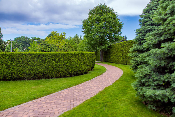 pedestrian walkway made of brick stone tiles, path crescent form in an arc in the park among the hedge of evergreen thuja and pine trees with clouds on sky, nobody. - Foto, imagen