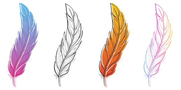 Set of colorful feathers vector illustration. Fluffy feather silhouette with gradient. Vector isolated on white - ベクター画像
