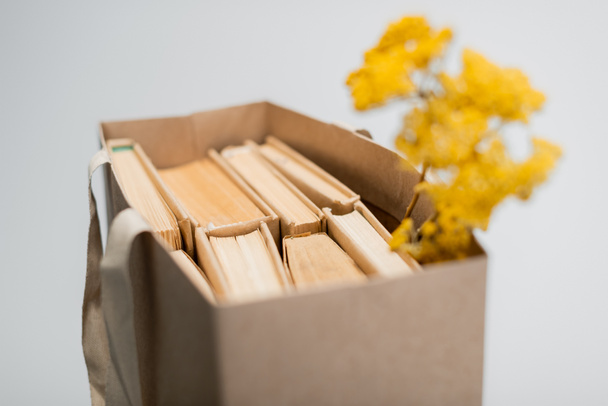 bolsa de compras borrosa con libros y flores amarillas secas aisladas en gris - Foto, Imagen