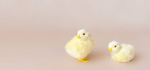 Пасхальный фон с пасхальными цыплятами и яйцами. Пасхальный декор. - Фото, изображение