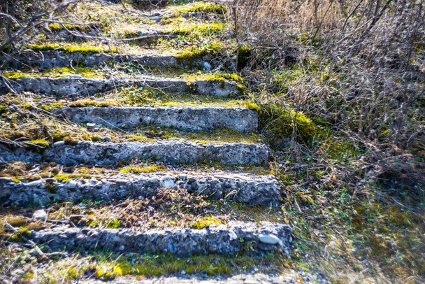 Stone steps in rural landscape in sunny day - Photo, Image