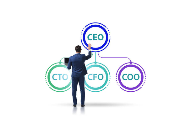 Illustration of organisation chart with various executives - Photo, Image