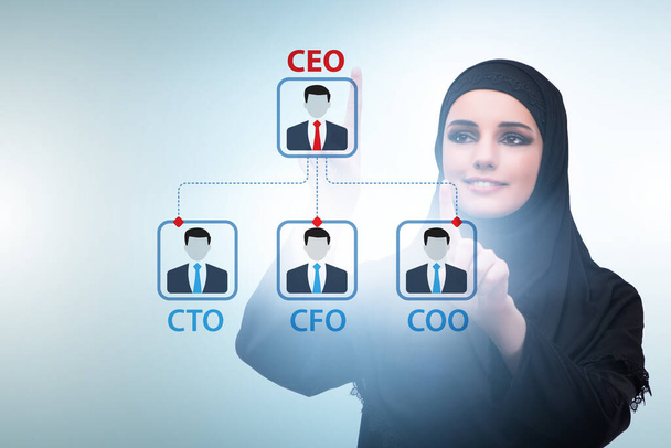 Businesswoman in the organisation chart concept - Photo, Image