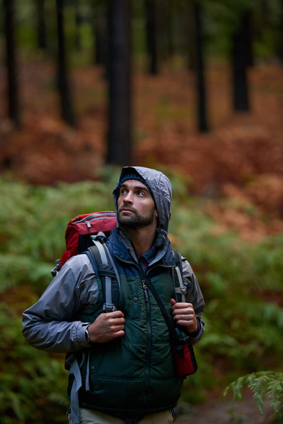 Bujna, naturalna dzicz. Portret młodego mężczyzny noszącego plecak podczas wędrówki po lesie. - Zdjęcie, obraz