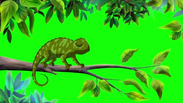 Chameleon changes color. Handmade animated HD footage isolated on green screen - Footage, Video