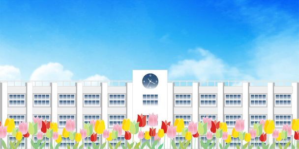 Tulip school flower spring background  - Vector, Image