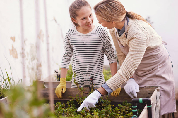 ¿Qué escogeremos hoy? Fotografía de una madre y una hija cultivando un huerto juntas en su patio trasero. - Foto, Imagen