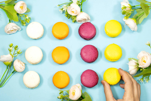 hand hold French  Macaron Cookies decorated with flowers isolated on blue background - Fotó, kép