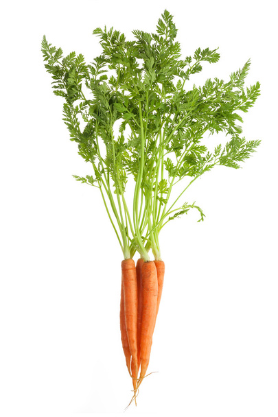 Καρότα - Φωτογραφία, εικόνα