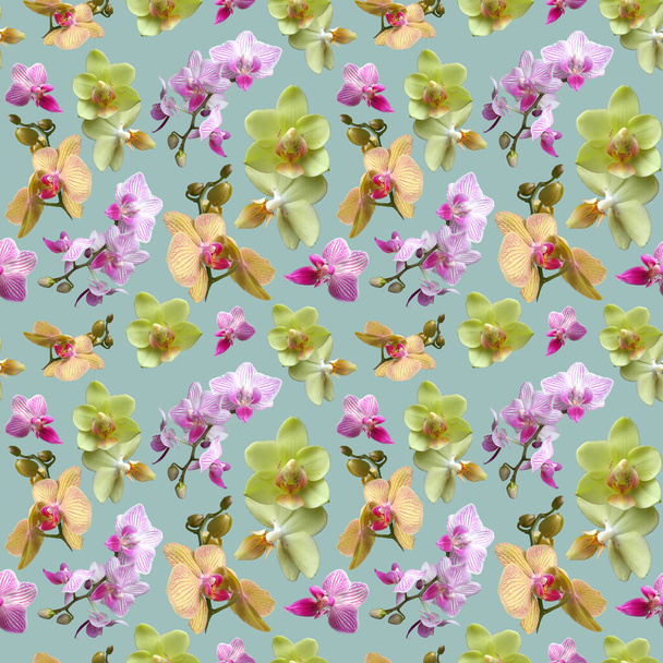 Gelbe und violette Orchidee auf hellgrünem Hintergrund. Vereinzelte Blumen. Nahtloses Blumenmuster für Stoff, Textilien, Packpapier. Tropische Blumen. - Foto, Bild