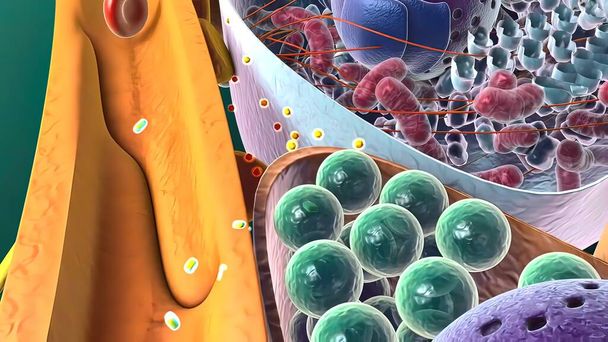 アミロイド前駆タンパク質の切断、 3D医療イラスト - 写真・画像