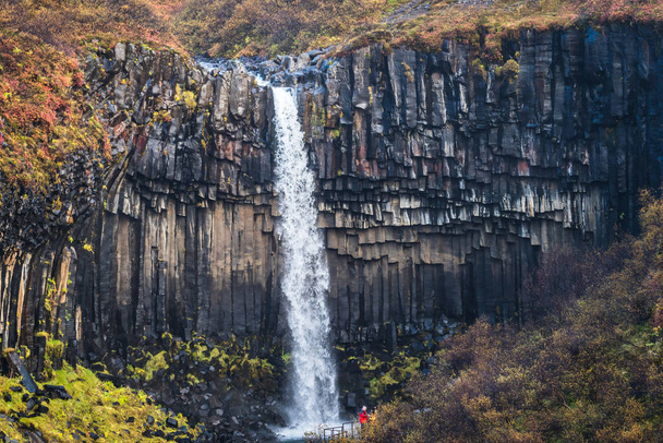 Vodopád Svartifoss v národním parku Skaftafell, Island. - Fotografie, Obrázek