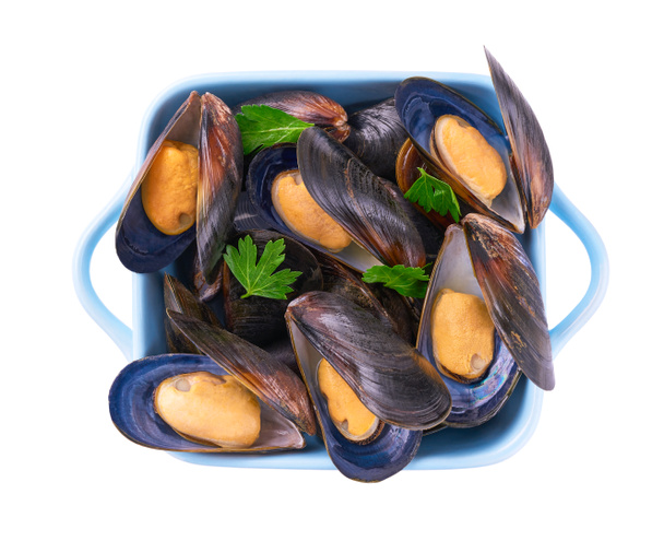 square plate of boiled mussels isolated on white background. Bowl of delicious cooked mussels isolated on white background, top view. - Photo, Image