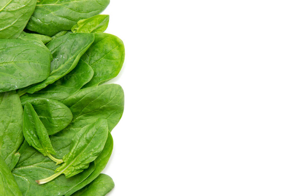 Spinach on a white background - Photo, image