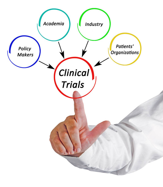 Four Stackeholders in Clinical Trials - Photo, Image