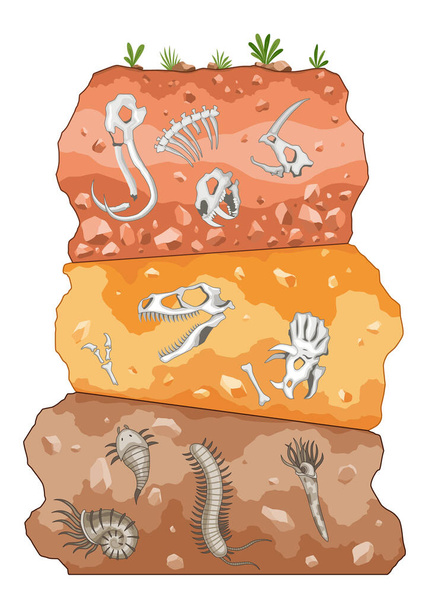 Tres eras diferentes de la historia de la Tierra. Dinosaurios fósiles, elementos para trabajos de paleontología y arqueología. Escena con varios huesos de animales en capas de suelo. Antiguos esqueletos de dino enterrados bajo tierra - Vector, imagen