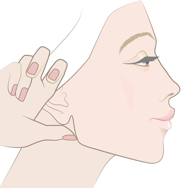 Masaje en la barbilla. Vista lateral de una cara femenina - Vector, imagen