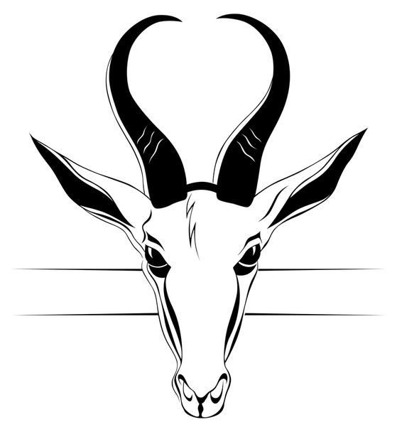 Tête d'antilope dans le vecteur
 - Vecteur, image