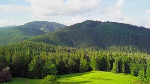 Mountain peaks and morning sky with smooth moving clouds. Summer landscape paeceful valley trees in the meadow at Carpathian mountains. Ukraine. - Footage, Video