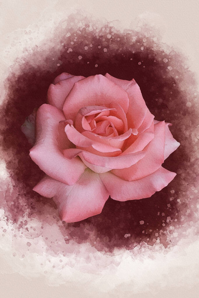 Un disegno ad acquerello di un vibrante fiore rosa. Arte botanica. Elemento decorativo per un biglietto di auguri o un invito a nozze - Foto, immagini