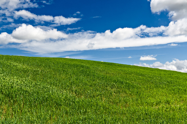 青い空と雲がバック グラウンドでのグリーン フィールド - 写真・画像